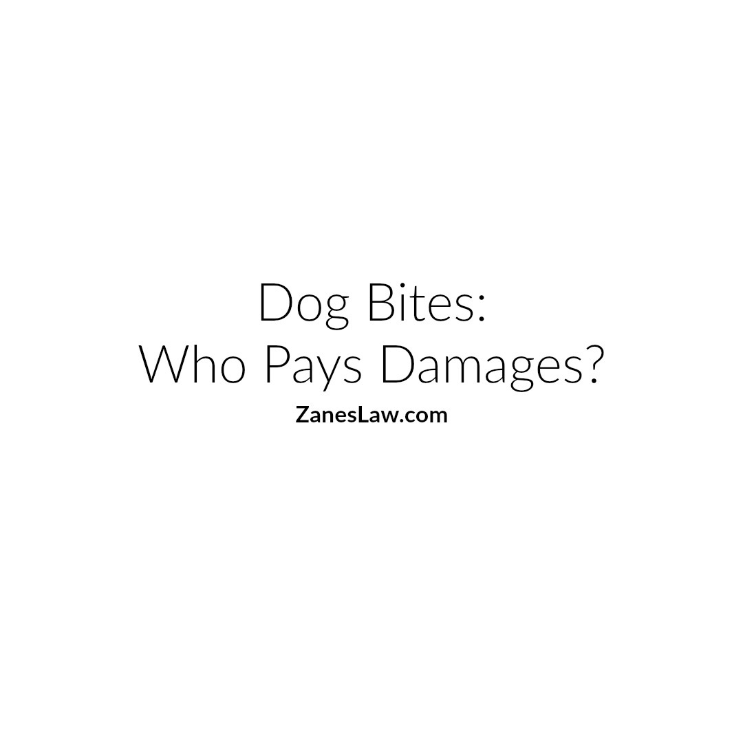 Dog Bite Incidents: Who Pays Damages?