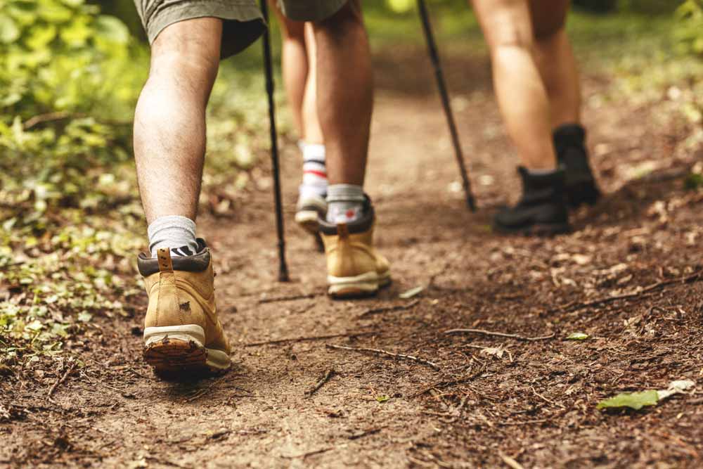 Gorgeous Weather Calls for Some Hiking!